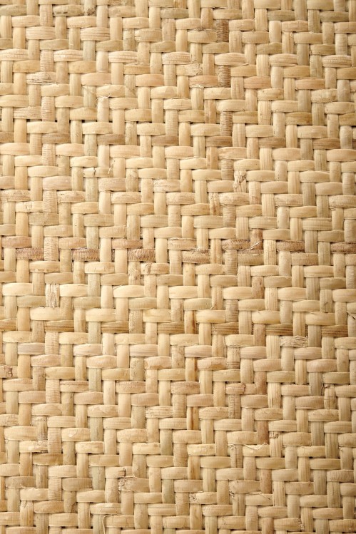 6fe9b8480789defc78ffcc7d2965c10c