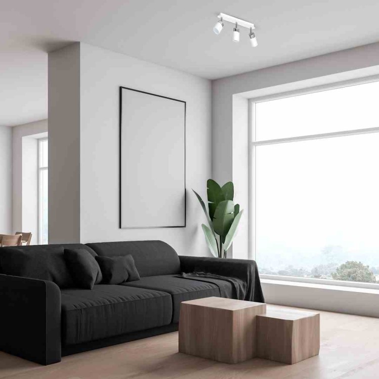 ba6d22097d49c2a3865d6a9a91a8c6f4