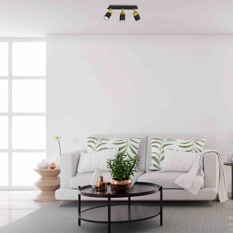 e64e30249007225771ef05791866737d