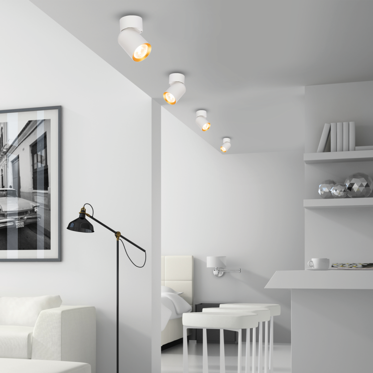 c866af249be4e86b24ba44289aaaa202