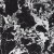5c58b289deaf8ba44cfbcb76dc81173d