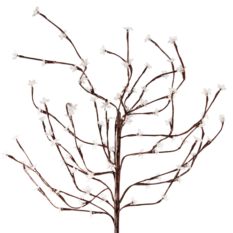 ab536c8a67cde6435bb68dfafa1067f9