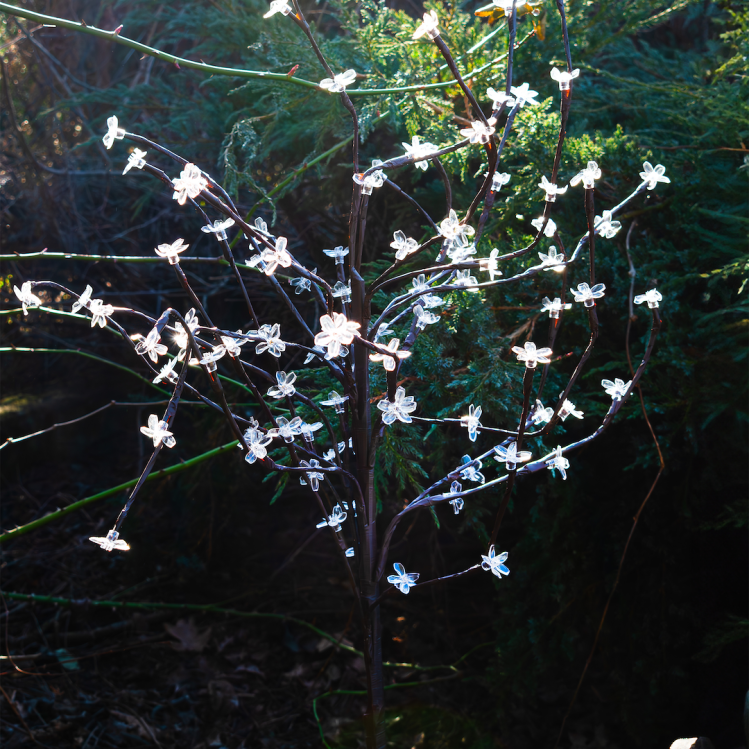 e22dcdf2751f632590b48019f806d45c