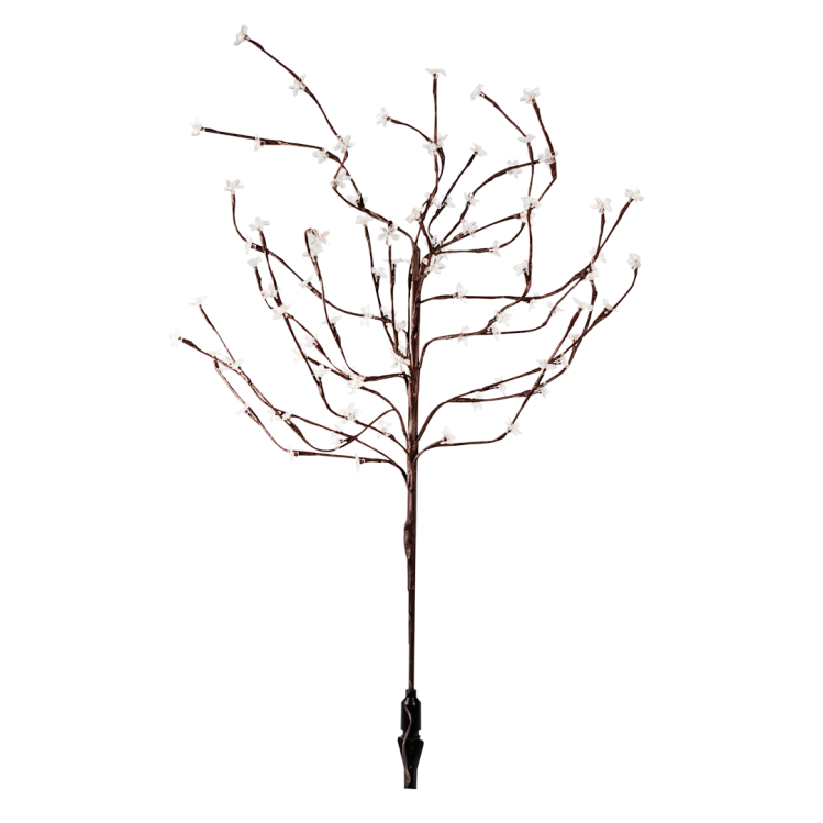 d9da818f07434f9d47a2e9ab8451c326