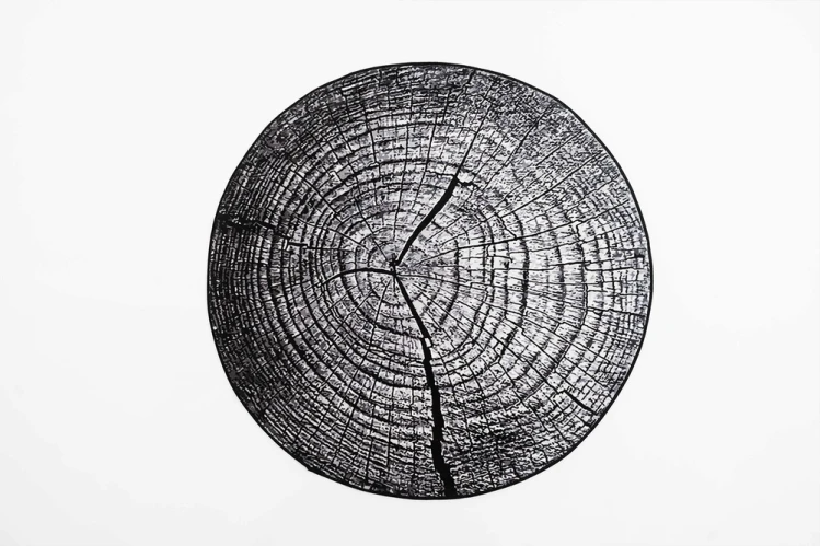 f949fb76b5c5f08b62c9f49cb9d9cf06